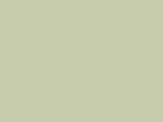 MTN 300 - Grey Green Pale