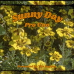 The Regime & Pro Uno - Sunny Day (LP)