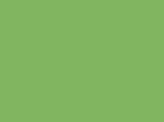 MTN 94 - Transparent Breeze Green