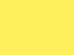 MTN 94 - RV-109 Canary Yellow
