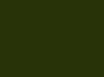 MTN 94 - RV- 132 Borneo Green
