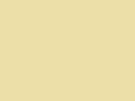 MTN 94 - RV- 135 Safari Brown