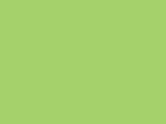 MTN 94 - RV-278 Iguana Green