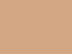 MTN 94 - RV-95 Tana Brown