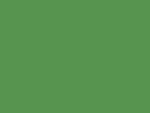 MTN 300 - Brilliant Green