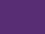 Montana Blackline Pimp Violet
