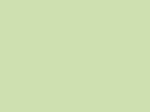 MTN Hardcore 2 - RV-6019 Pale Green