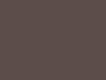 MTN 300 - Raw Umber Deep
