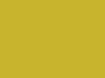MTN 94 - RV-110 Yoshmite Yellow